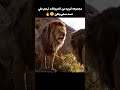 مجموعة كبيرة من الحيوانات تهجم على اسد صغير ولكن Voiceover Movie قصص مجموعة كبيرة من الحيوانات تهجم على اسد صغير ولكن Voiceover Movie قصص