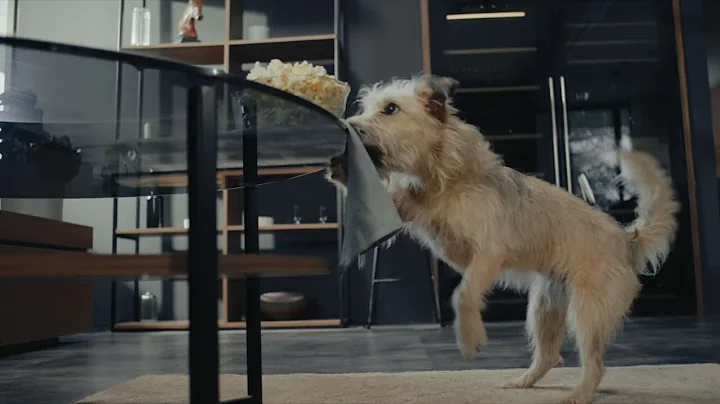 Hisense Inspire – Home Care Novelties On IFA 2025