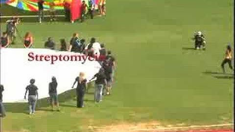 Protein Synthesis: Lost In Translation - Part 2