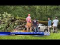 Driver airlifted after tree falls on car on Natchez Trace in central Mississippi