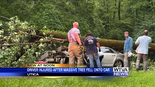 Driver airlifted after tree falls on car on Natchez Trace in central Mississippi