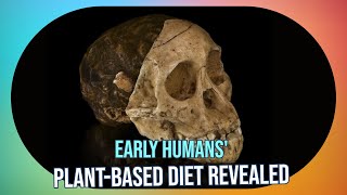 Did Early Humans Eat Burgers? New Study Reveals Surprising Truth About Ancient Diet