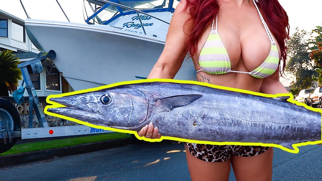 Live Bait Does the Trick How To Catch Live Bait Offshore Fishing in