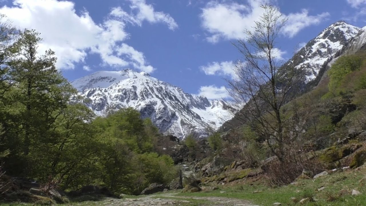 Réserve d'Orlu : marmottes et isards (Ariège, avril 2018)