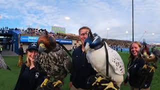 U.S. Air Force Academy Football Game Experience screenshot 5