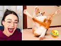 Funniest Cats And Dogs Videos 😸🥰  - Best Cute And Funny Animals 🐶