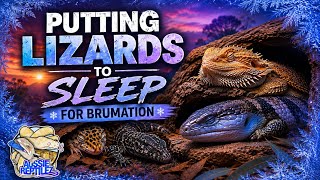 The Annual Reptile Sleep Begins!