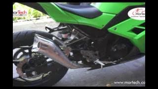 Slip On  Leovince Cobra Ninja 250 FI