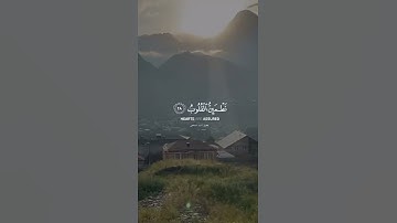 سورة الرعد || الا بذكر الله تطمئن القلوب / القارئ #احمد_الشافعي✨.