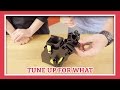 Saeco Superautomatic Brew Unit Disassembly | Tune Up For What