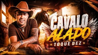 TOQUE DEZ  - AMOR MIM ENTENDA EU PRECISO IR MEU CAVALO ALADO