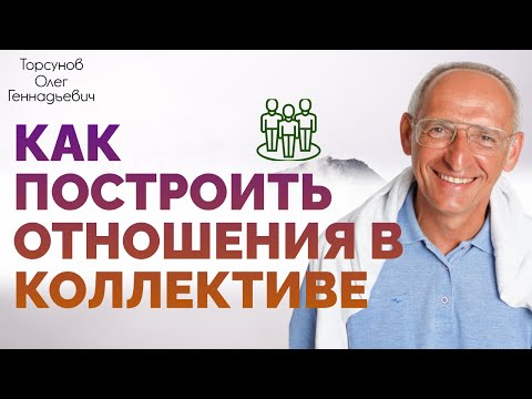 Взаимоотношения в коллективе. Торсунов О. Г.