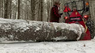 Cabin Build From Scratch| Skidding Giant Pine Log-Pt4