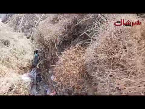 شاهد الوضعية الكارثية للواجهة البحرية لشرشال