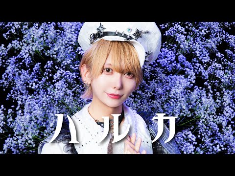 いりぽん いりぽん先生 - YouTube