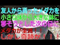 メダカを友人からもらい大きな入れ物に移そうとした次の日メダカが全滅！しかし奇跡が。。。