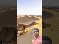 #explore #quran #beautiful #hansi #shortvideo @bayezidsewing