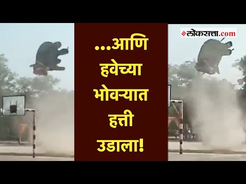 Viral Video: ...आणि हवेच्या भोवऱ्यात हत्ती उडाला!