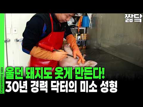 진열만 바꿨을 뿐인데 매출 3배! 쪽박 가게 대박 만드는 진열의 법칙 | KBS VJ 특공대 20150227 방송