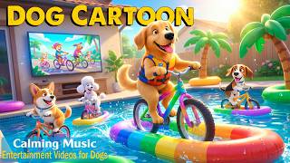 12 Hours Cartoon for Dogs, in Colors They Can See | Anti-Boredom Videos for Dogs + Relaxing Music