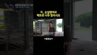 팩트폭격기 | 순살파티 | 소상공인시장tv