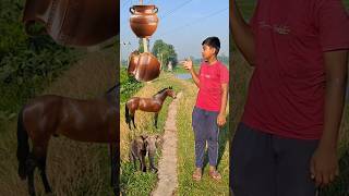 Rounding poet to Elephant, Horse, Lion &amp; Tiger animals name magic video -vfxdilnawaz