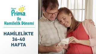 Download Prima Ile Hamilelik Dönemi 36. - 40. Hafta | Son Değil, Yeni Bir Başlangıç! Video MP3 Prima Ile Hamilelik Dönemi 36. - 40. Hafta | Son Değil, Yeni Bir Başlangıç!