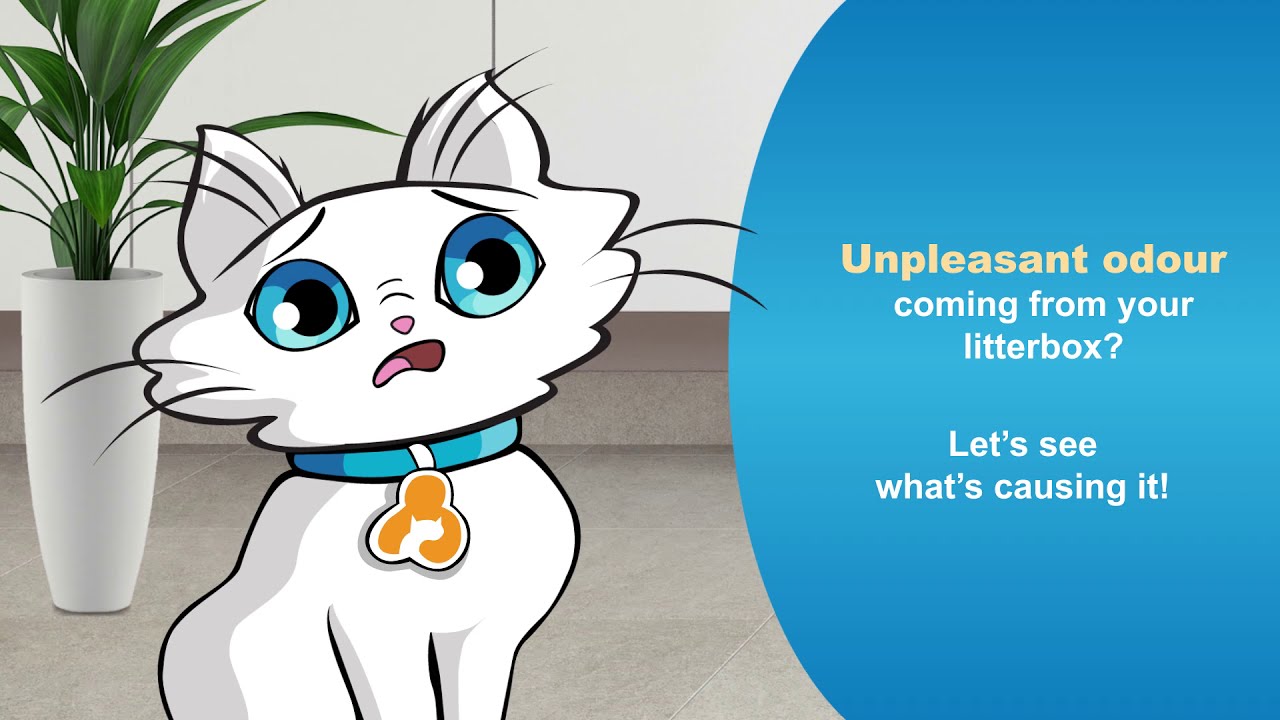 A litter box free of ammonia with OdourLock technology! YouTube