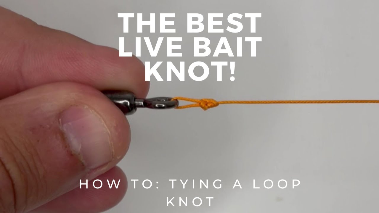 How to Tying a loop knot (best live bait knot) livebaitfishing 