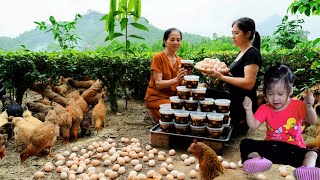 ไก่วางไข่จำนวนมาก เก็บเกี่ยวและแปรรูปไข่ที่แช่ในซีอิ๊ว อร่อยเหลือเชื่อ!