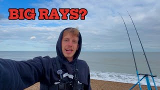 I Caught My First Ever Thornback Ray At Shingle Street