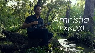 Salvador - Amnistía (PXNDX)