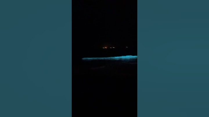 DREAM COME TRUE 🥺 Last Night , We saw the Beauty of Bioluminescence in Kochi, Kerala  🤩