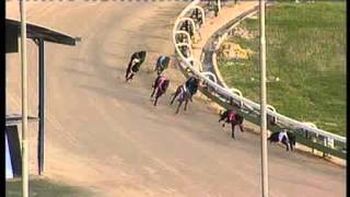Angle-Park-02112015-Race-4