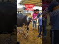 AI PD Training Centre Rajasthan Haryana #shorts