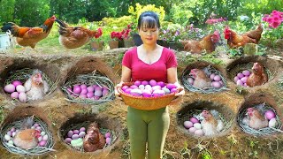 Harvest Chicken Eggs In Hole Goes to market sell & Build Hole For Hens To Lay Eggs | Tiểu Vân Daily