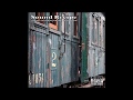 Your Old Droog - Train Love (Transportation LP)
