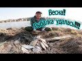 рыбалка весна 2019 КАРП, АМУР, ЛИНЬ, ЛЕЩ, ФОРЕЛЬ в одном улове! карпфишинг на поплавок