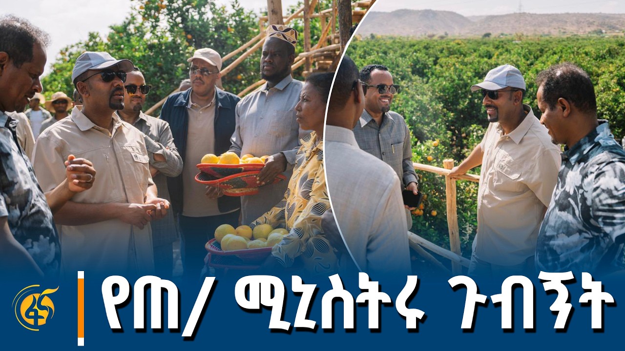 ጠቅላይ ሚኒስትር ዐቢይ አሕመድ(ዶ/ር) በድሬዳዋ የአትክልትና ፍራፍሬ  ልማት ያደረጉት ጉብኝት