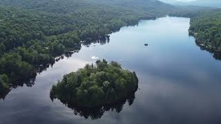 Goodnow Video