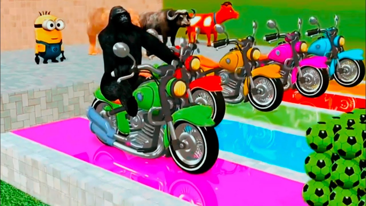 Baby Shark + Wheels On the Bus song - Soccer ball shaped wheels - Baby Nursery Rhymes &Kids Songs