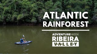 The Atlantic Forest Wonders