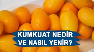 Kumkuat Veya Kamkat Nedir? Nasıl Yenir?