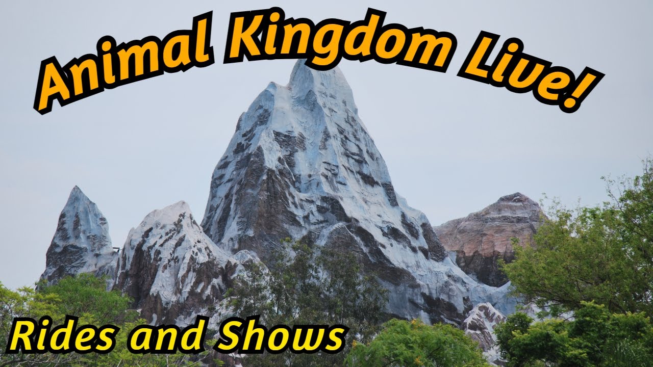 🔴Live: Disney's Animal Kingdom! For Rides and Shows