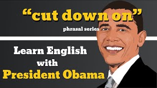 Cut Down On Usage, Pronounce, Meaning, Definition, Sentence Examples
