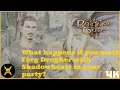 Baldurs gate 3 what happens if you meet ferg drogher with shadowheart in your party