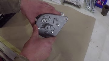 How to Polarize a Dynamo