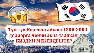 Түштүк Корея өлкөсүндө мыйзамдуу иштөө жолдору // Мекендешибиз менен МАЕК