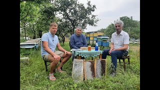 видео: Пчеловодство Грузии картинка: Пчеловодство Грузии