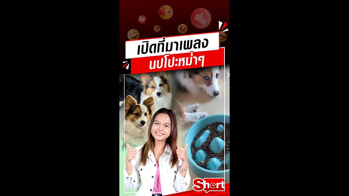 เปิดที่มา นปโปะหม่ำๆ เจ้าตูบสุดคิวท์ มีเพลงเชียร์กินข้าว แห่ร้องตามทั่วประเทศ : Khaosod - ข่าวสด